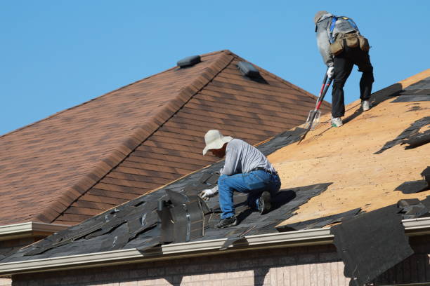 Best Rubber Roofing (EPDM, TPO)  in Rogers, MN