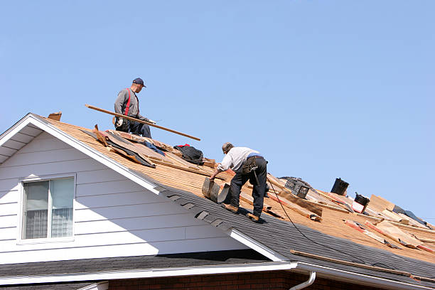 Best Gutter Installation and Repair  in Rogers, MN