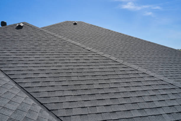 Best Sheet Metal Roofing  in Rogers, MN